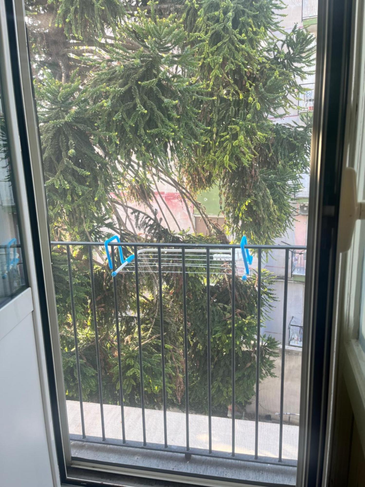 Mediterraneo Apartment Ерколано Екстериор снимка